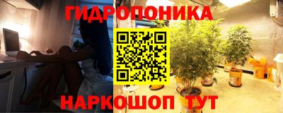 бошки Аша