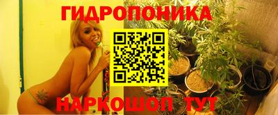 стаф Ачхой-Мартан