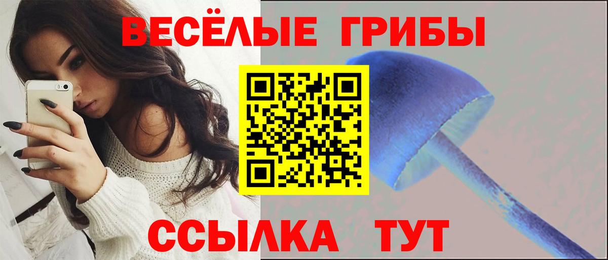 Аша  Псилоцибиновые грибы GOLDEN TEACHER  Вход с VPN 